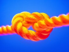 勞務(wù)派遣--全程、轉(zhuǎn)移、減員、項(xiàng)目及試用派遣
